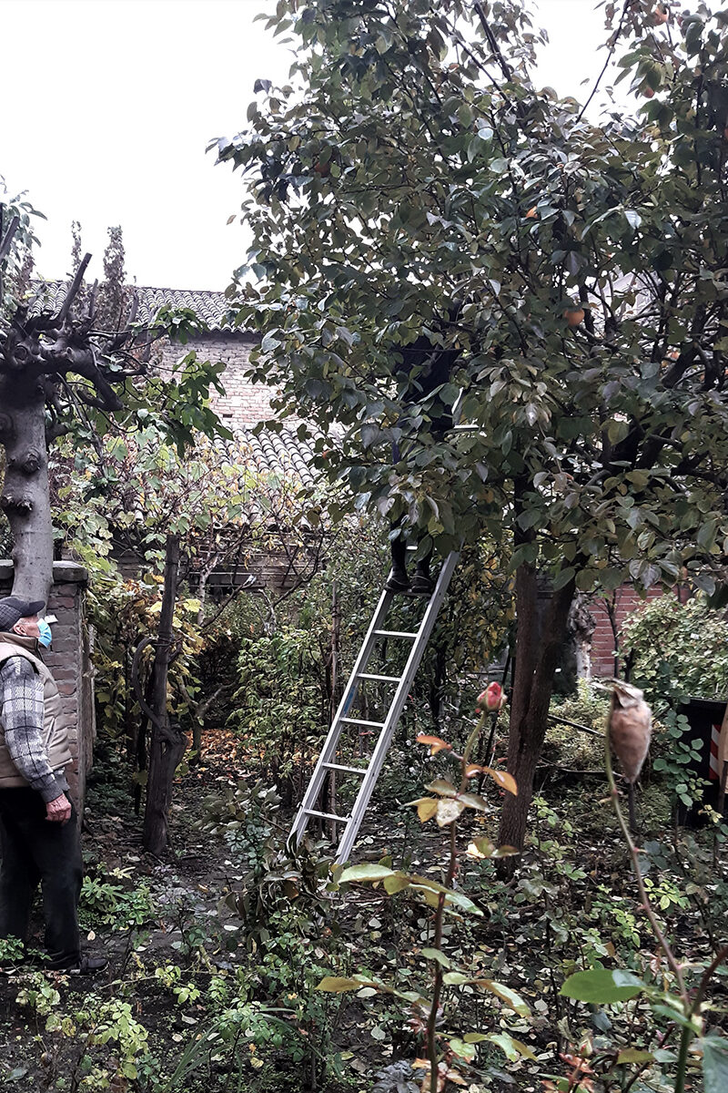 Attivita_sociale_Autunno_01