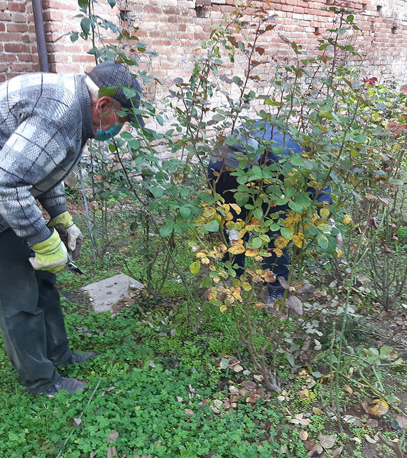 Attivita_sociale_Autunno_02