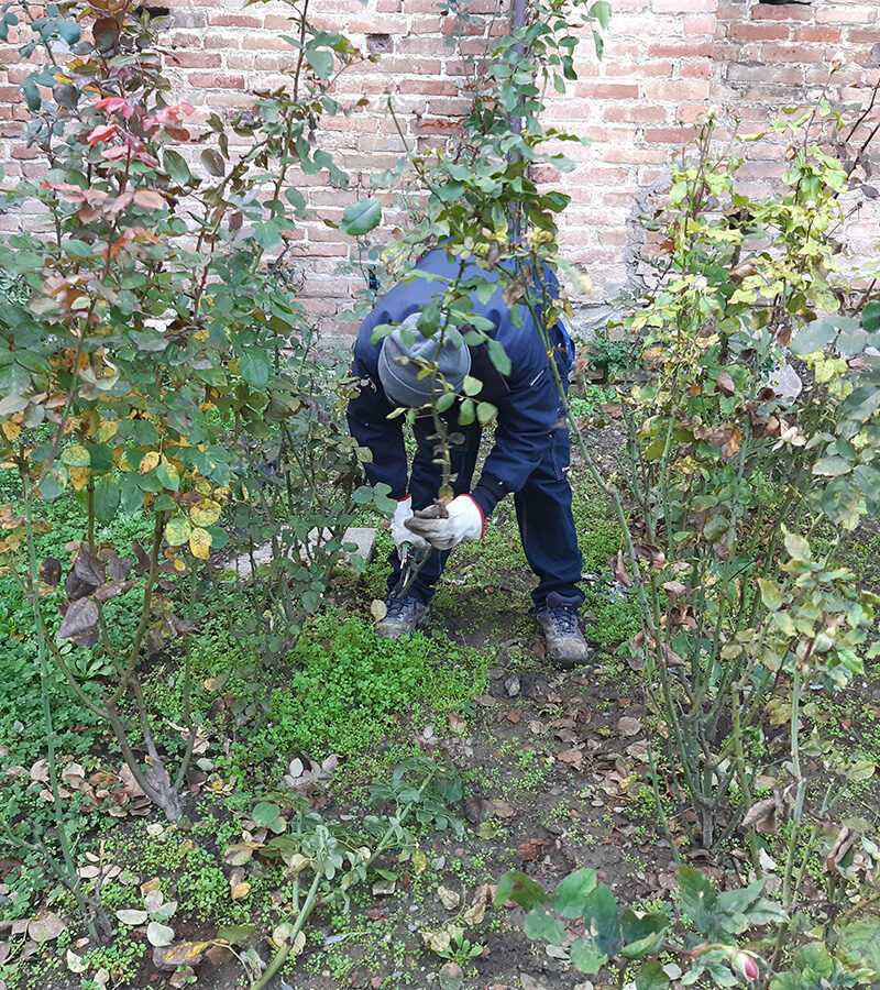 Attivita_sociale_Autunno_03